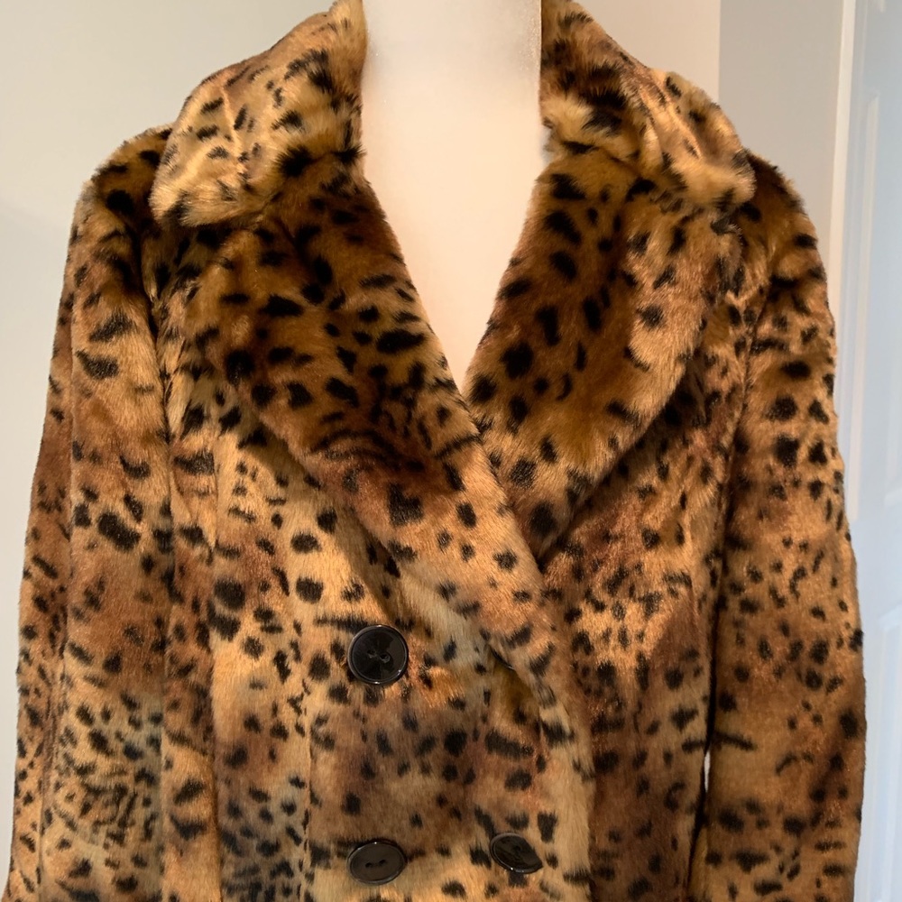 Loft Woman’s cute short jacket